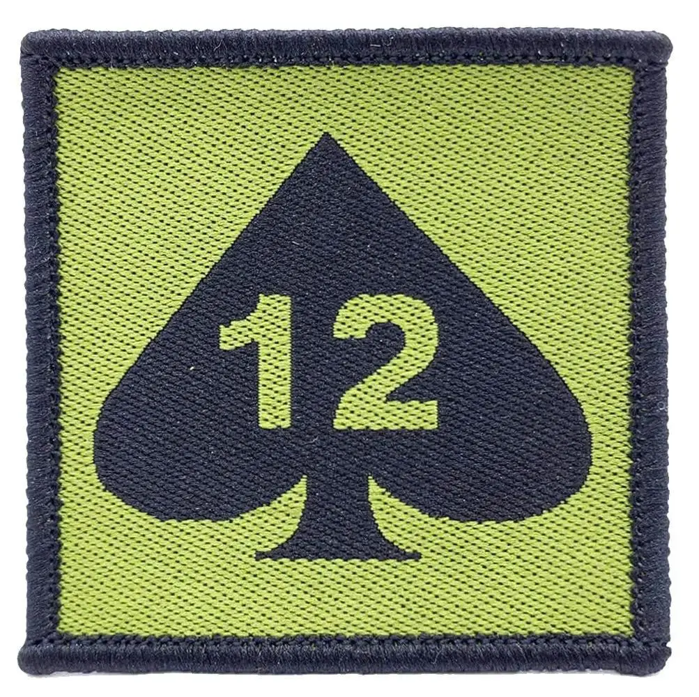 12 Armoured Infantry Brigade TRF - Iron or Sewn On Patch - Image 5