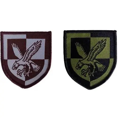 16 Air Assault Brigade TRF - Screaming Eagle