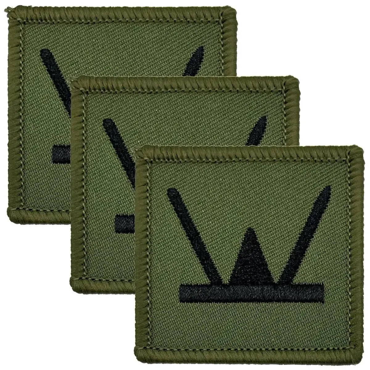 160 Welsh Brigade TRF - Iron or Sewn On Patch - Image 2