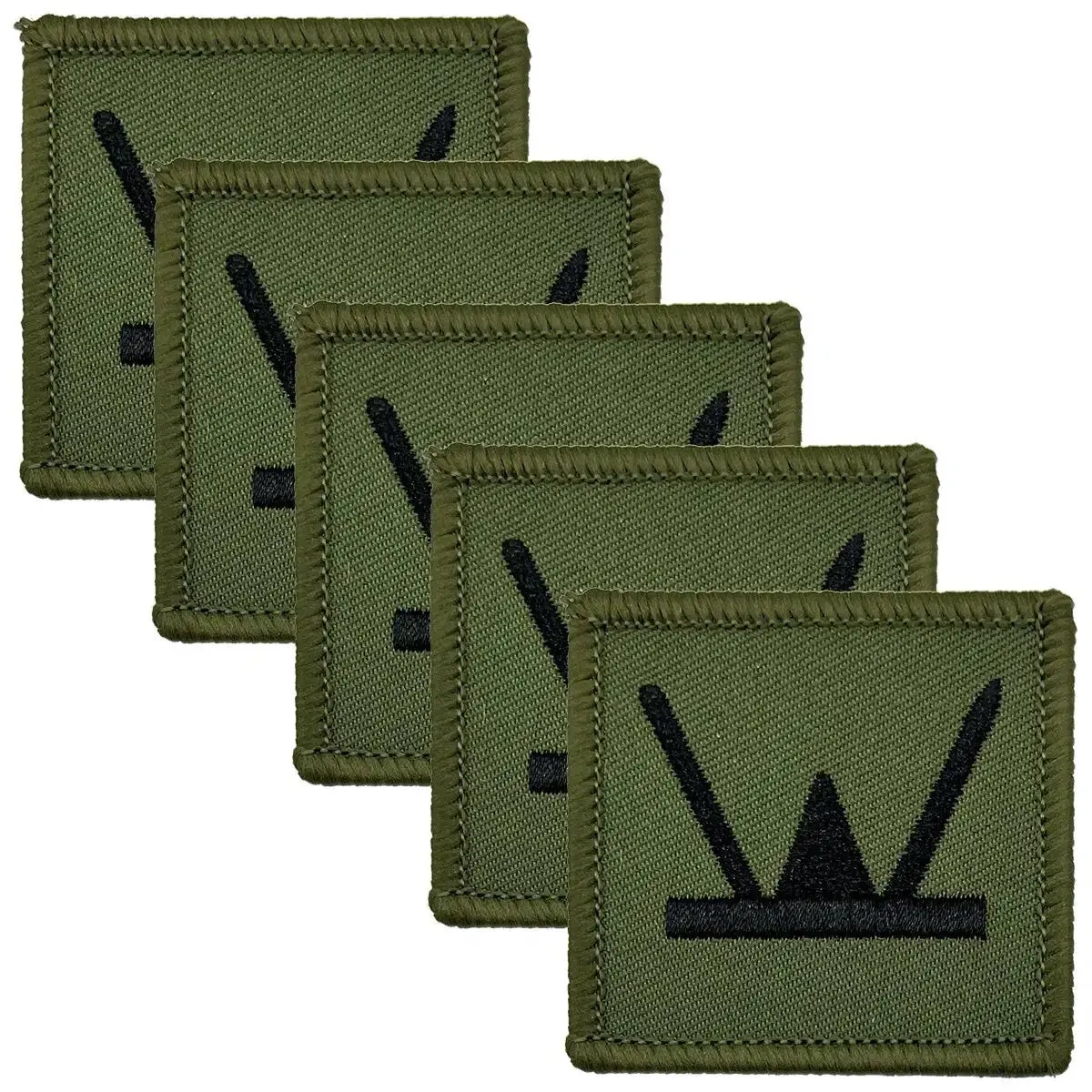 160 Welsh Brigade TRF - Iron or Sewn On Patch - Image 4