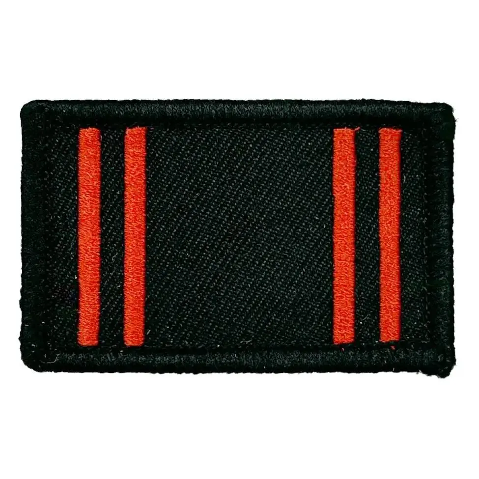 Army Physical Training Corps TRF - Iron or Sewn On Patch - Image 2