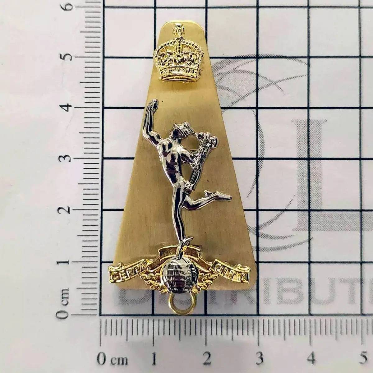 Royal Signals Cap Badge with Kings Tudor Crown - Image 2