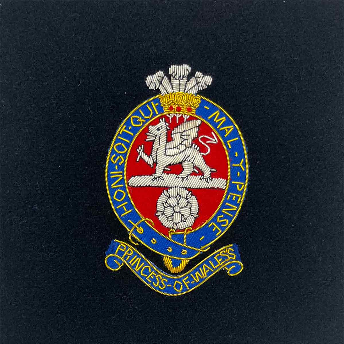 Single Frame Army Presentation with Badge and Plate - Image 28